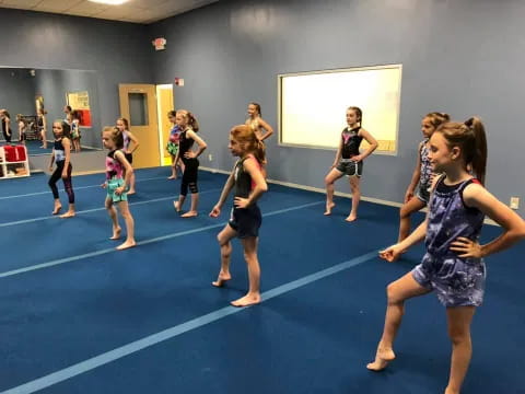 a group of girls in a gym