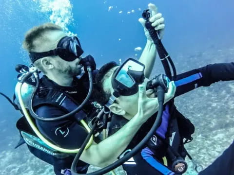 a person in scuba gear