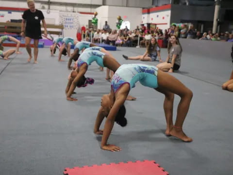 a group of people wrestling