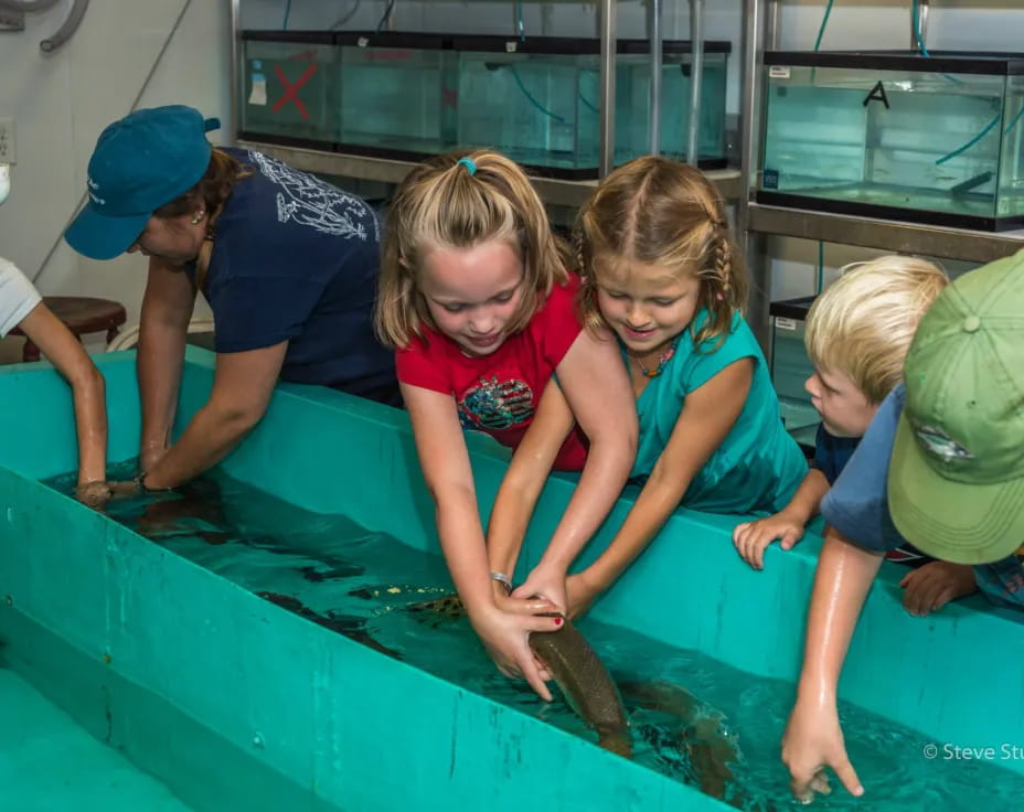 a group of children in a pool