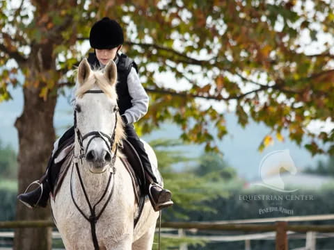 a person riding a horse