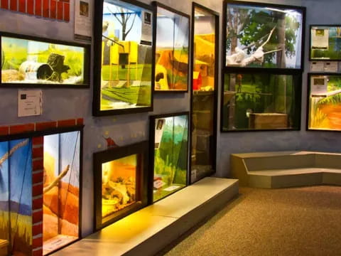 a room with many framed paintings