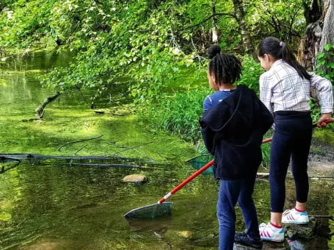 a group of people fishing