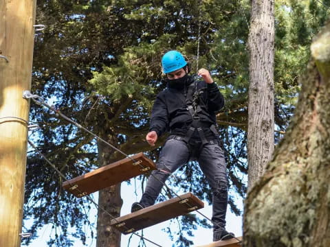 a man climbing a tree