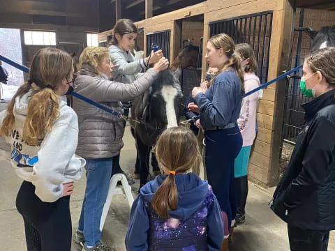 a group of people petting a horse