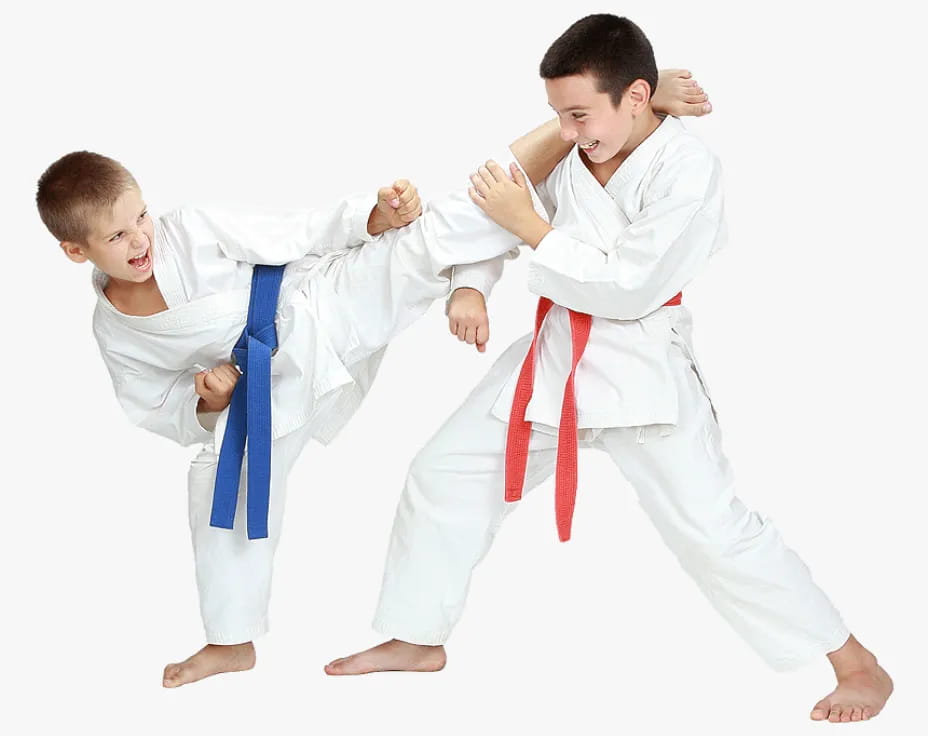 a few boys in karate uniforms