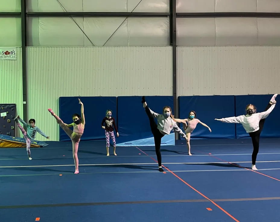 a group of women in a gym