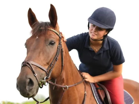 a person riding a horse