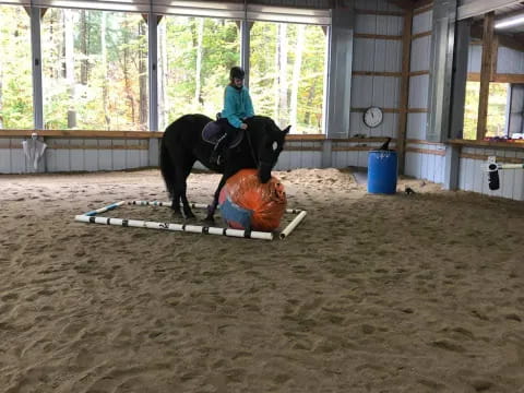 a person riding a horse