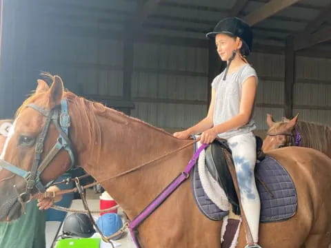 a person riding a horse