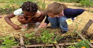 a few children working in a garden