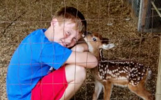 a boy and a deer