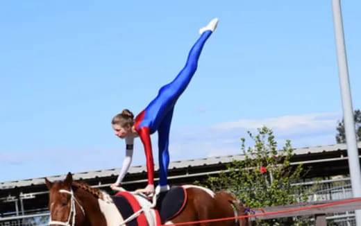 a person riding a horse