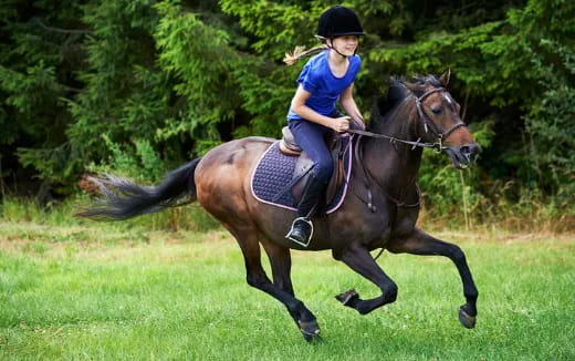 a girl riding a horse