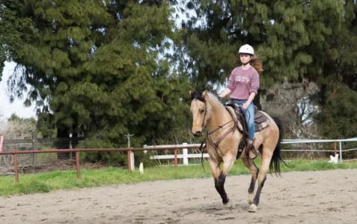 a person riding a horse