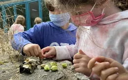 a man and a woman in a field of green plants