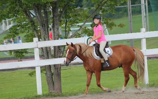 a person riding a horse