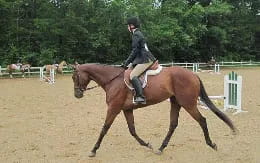 a person riding a horse