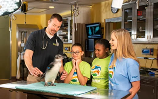 a group of people standing around a bird on a table
