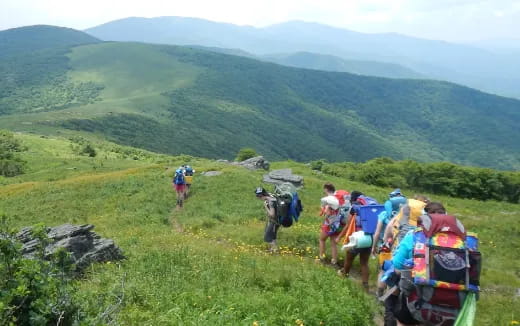 a group of people hiking