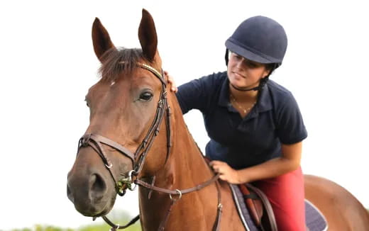 a person riding a horse