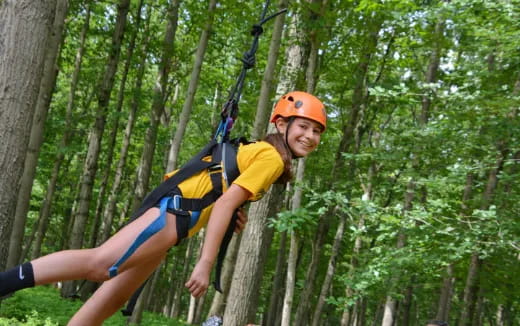 a person in a harness climbing a tree