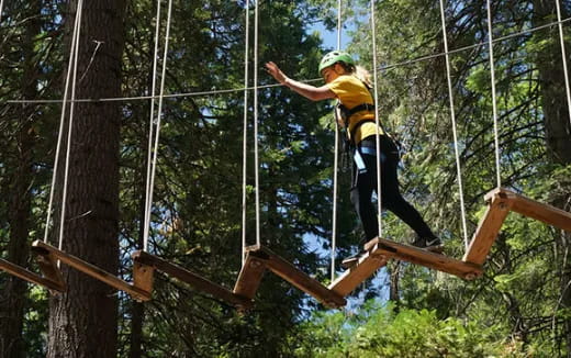 a man climbing a tree