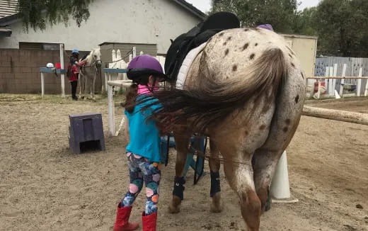 a girl standing next to a horse