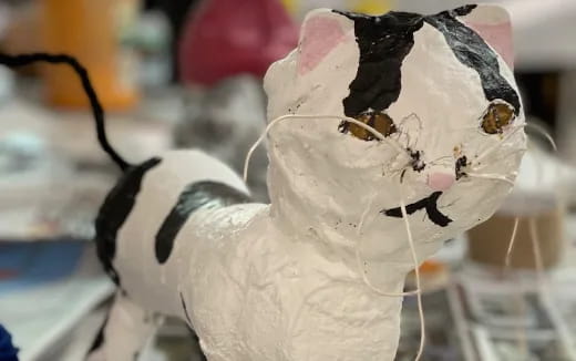 a white and black cat with a flower on its head