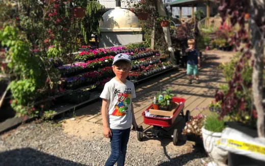 a boy standing next to a garden