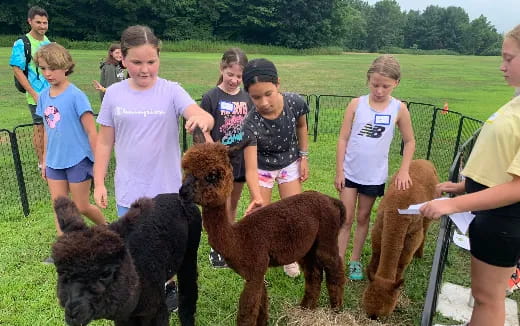 a group of kids with animals