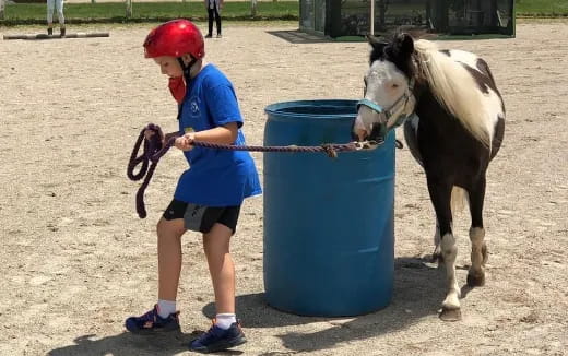 a child holding a horse