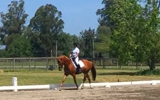 a person riding a horse