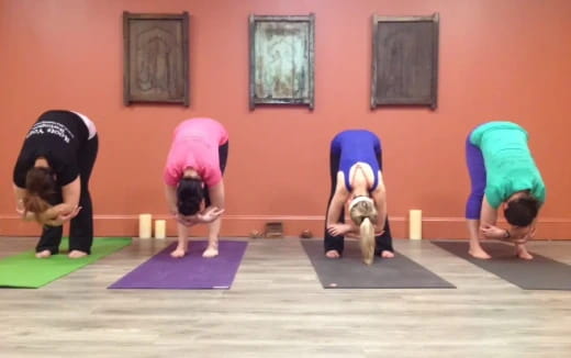 a group of people doing yoga