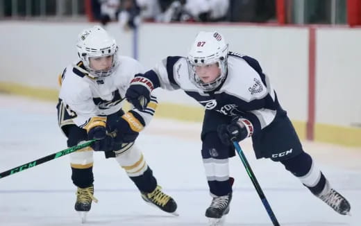 two men playing hockey