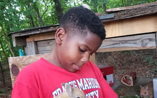 a boy looking at a bird