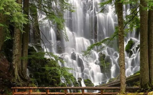 a waterfall in a forest
