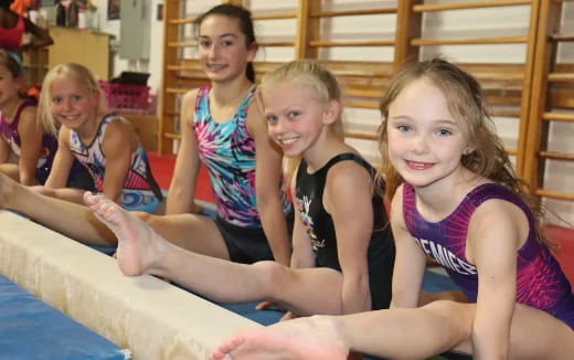 a group of girls in a gym