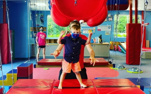 a person wearing a mask and holding a ball