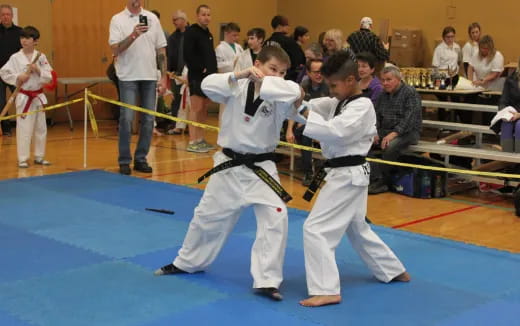 two people in karate uniforms