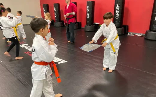a group of children in karate uniforms