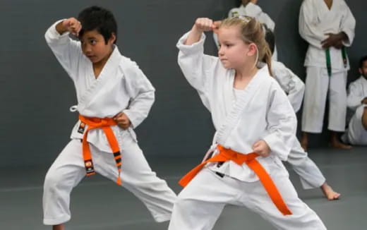 a group of people in karate uniforms