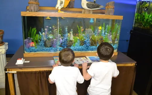 a couple of kids looking at a fish tank