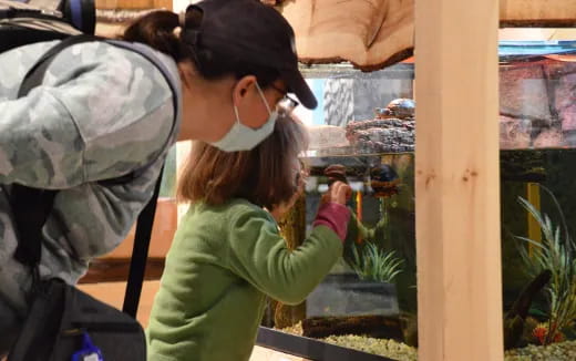 a person wearing a mask