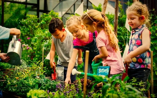 children in a garden