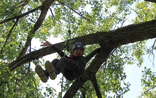 a person in a tree