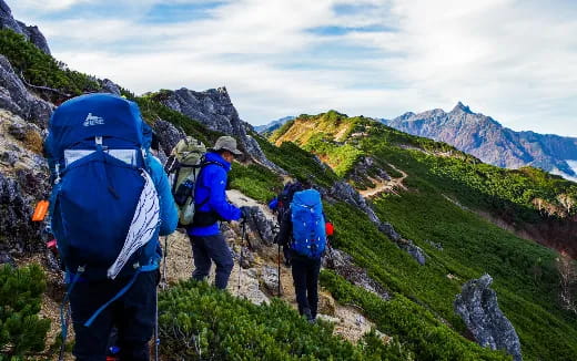 a group of hikers hiking