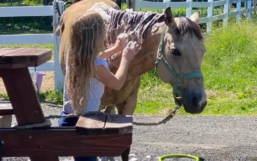 a person petting a horse