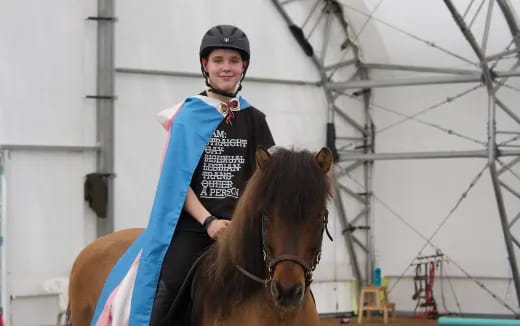 a person riding a horse