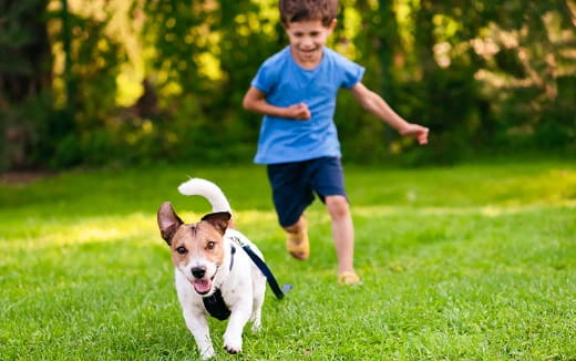 a boy running with a dog